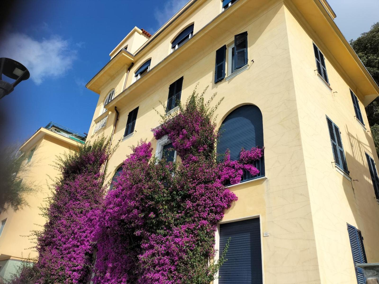 La Bouganville Beatiful Sea View Monterosso al Mare Eksteriør billede