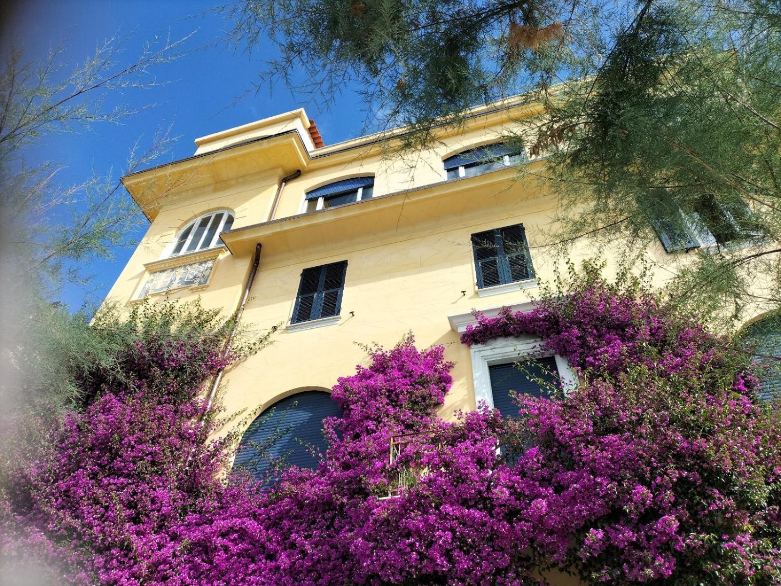 La Bouganville Beatiful Sea View Monterosso al Mare Eksteriør billede